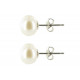 Boucles d'Oreilles Clou d'Argent 925 et Perle de Culture Blanche 8-9 mm