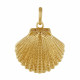 Pendentif Plaqué Or Coquille St Jacques