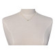 Collier Plaqué Or 5 Strass Ovale et Ronds