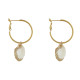 Boucles d'Oreilles Laiton Doré Créoles et Coquillages