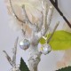 Boucles d'Oreilles Dormeuse Argent 925 et Perle de Nacre Facettée Multicolore