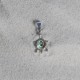 Pendentif Argent 925 Tortue des Galapagos et Cabochon en Nacre Abalone
