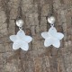 Boucles d'Oreilles Clous en Laiton Fleurs de Frangipanier en Nacre de Coquillage