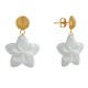 Boucles d'Oreilles Clous en Laiton Fleurs de Frangipanier en Nacre de Coquillage
