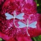 Boucles d'Oreilles Clous Laiton et Libellule