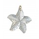 Pendentif Etoile de Mer en Nacre